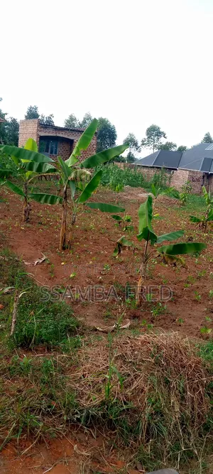 Good Plot for Sale Located Jjagala