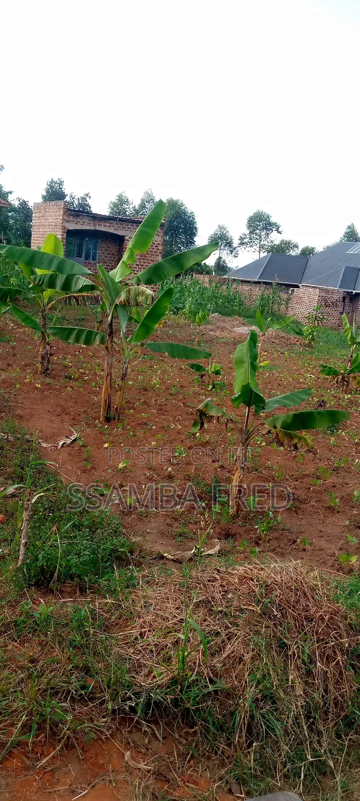 Good Plot for Sale Located Jjagala