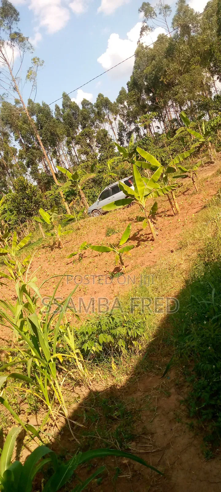 Good Plot for Sale Located Jjagala