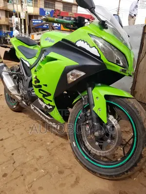 Kawasaki Ninja 300 2020 Green