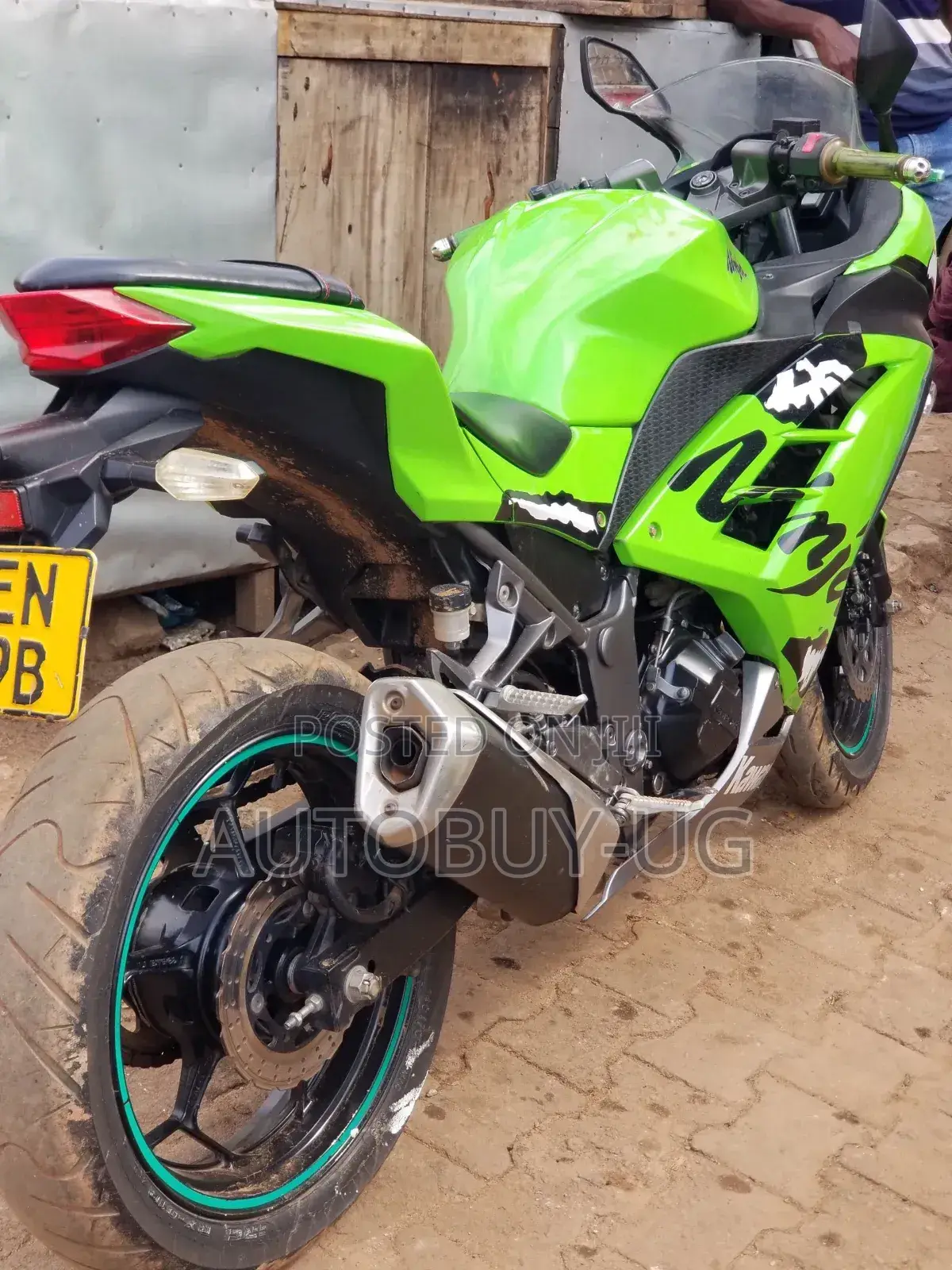 Kawasaki Ninja 300 2020 Green