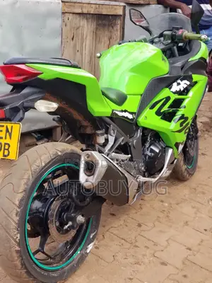 Kawasaki Ninja 300 2020 Green