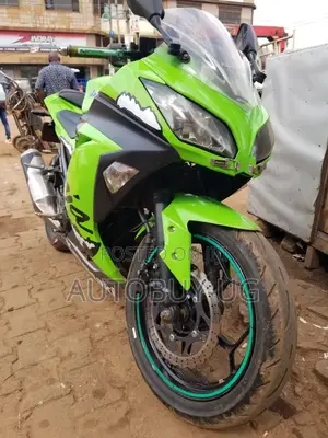Kawasaki Ninja 300 2020 Green