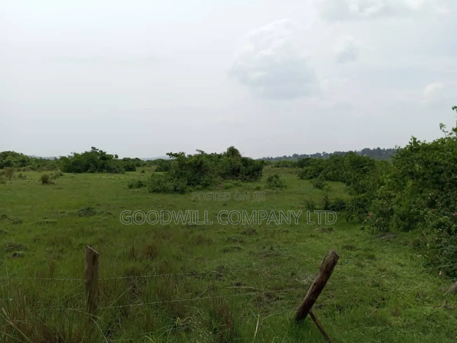 15 Acres of Well Fenced Farm Land in Masaka Kinoni Private Mailo Title