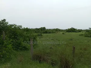 15 Acres of Well Fenced Farm Land in Masaka Kinoni Private Mailo Title