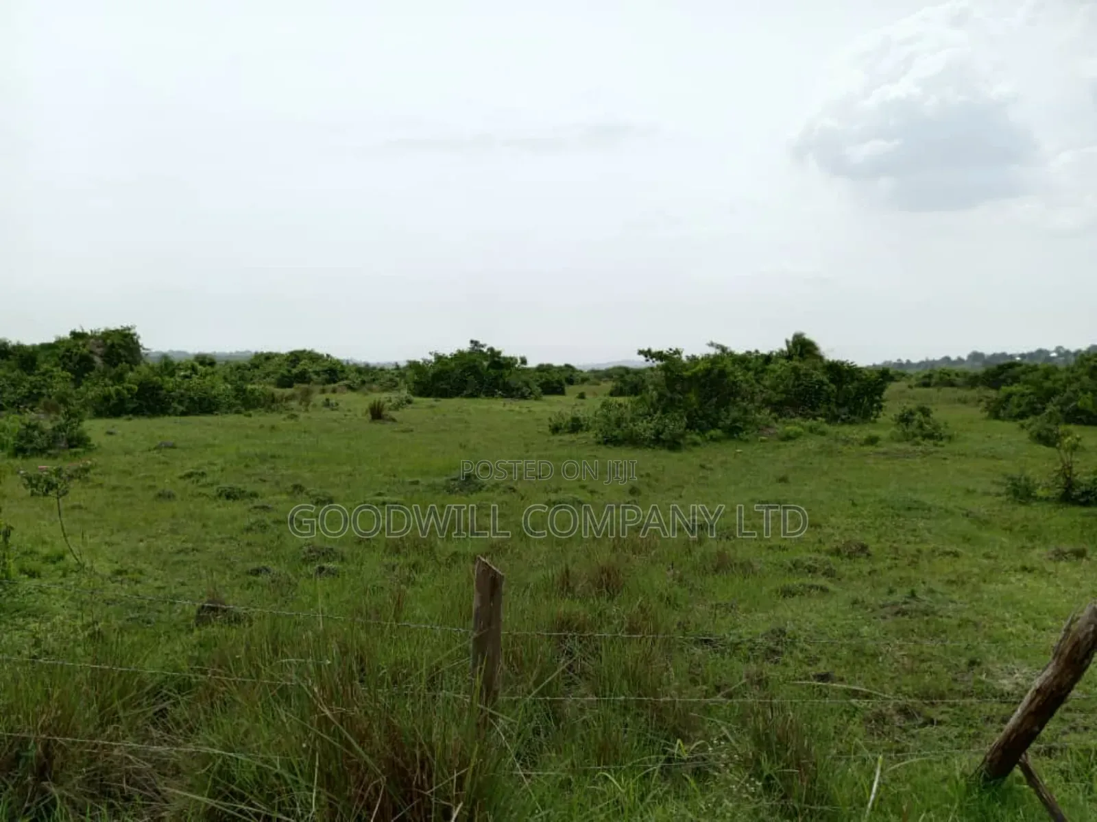 15 Acres of Well Fenced Farm Land in Masaka Kinoni Private Mailo Title