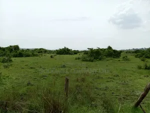 15 Acres of Well Fenced Farm Land in Masaka Kinoni Private Mailo Title