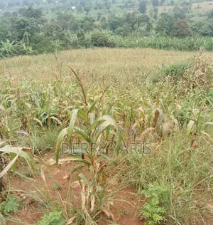 17m Per Acre Land for Sale in Nakaseke 20 Minutes From Wobulenzi Town