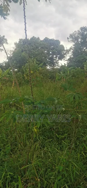 17m Per Acre Land for Sale in Nakaseke 20 Minutes From Wobulenzi Town
