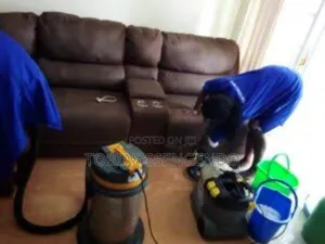 Sofa Set, Car Seat and Carpet Cleaning