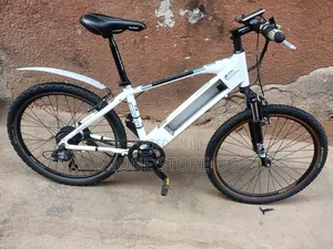 Alton Sports Estar Electric Mountain Bicycle