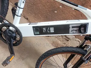 Alton Sports Estar Electric Mountain Bicycle