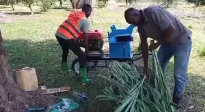 Diesel Silage Choppers