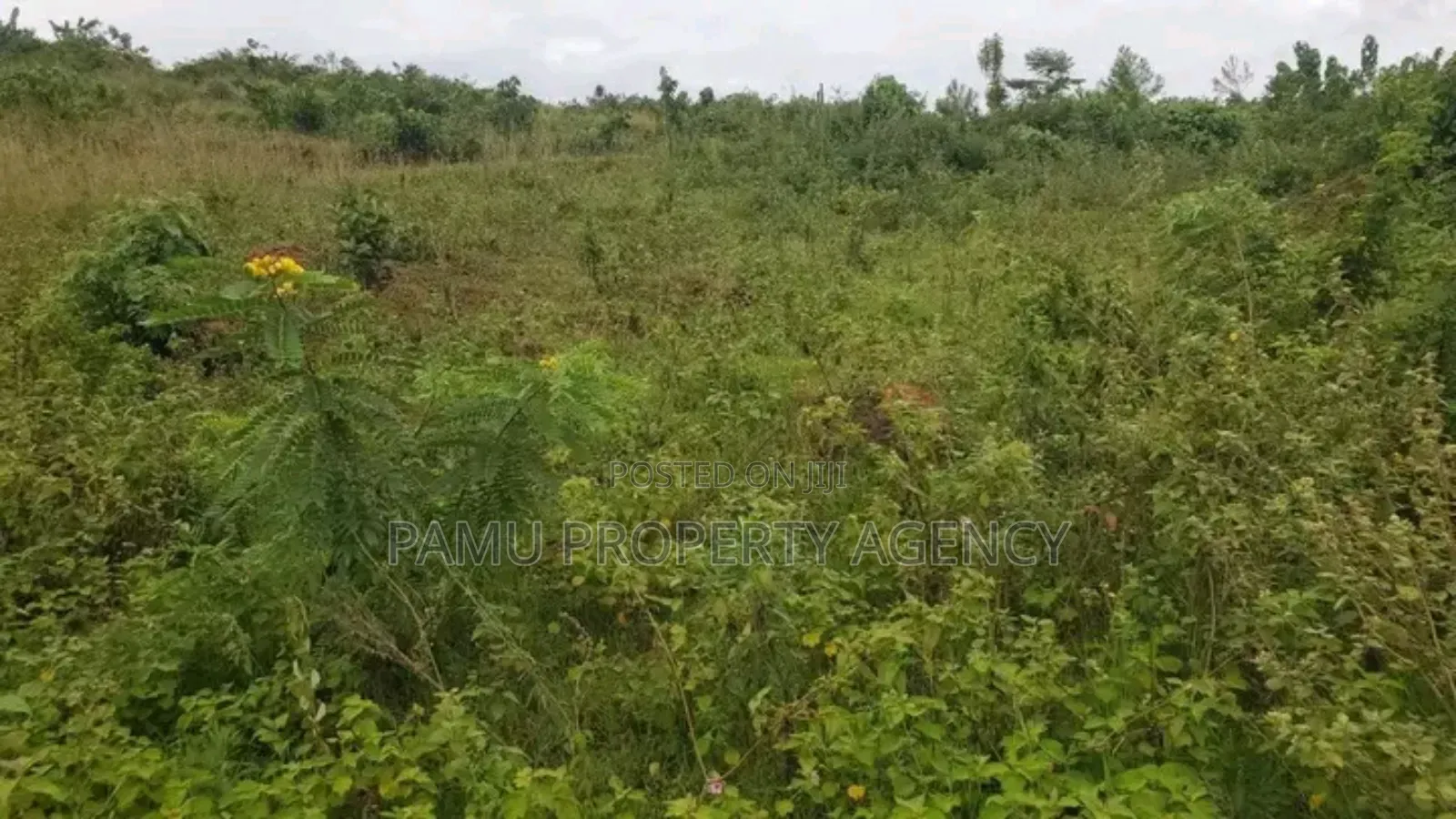 Mbalala Mukono Plot for Sale