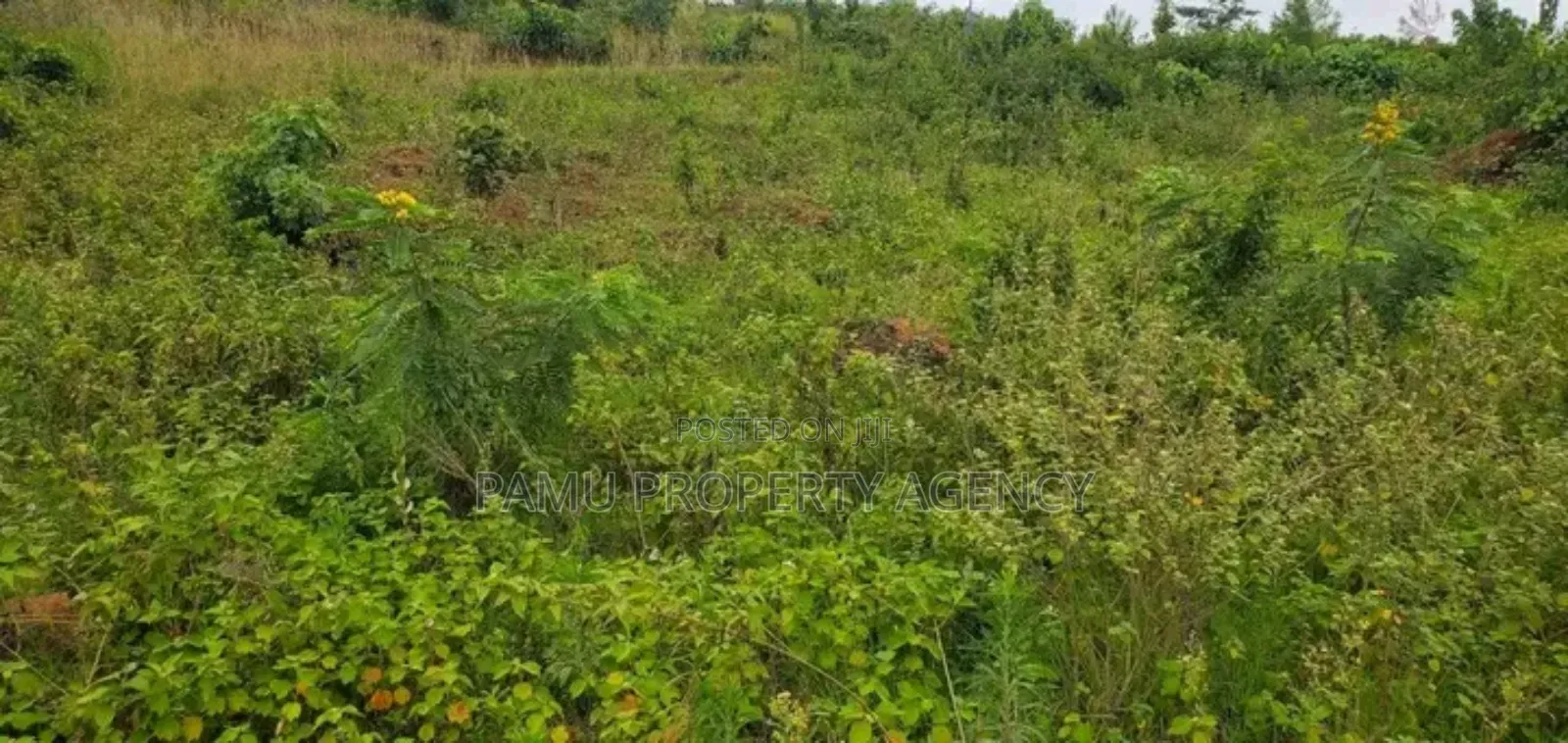 Mbalala Mukono Plot for Sale