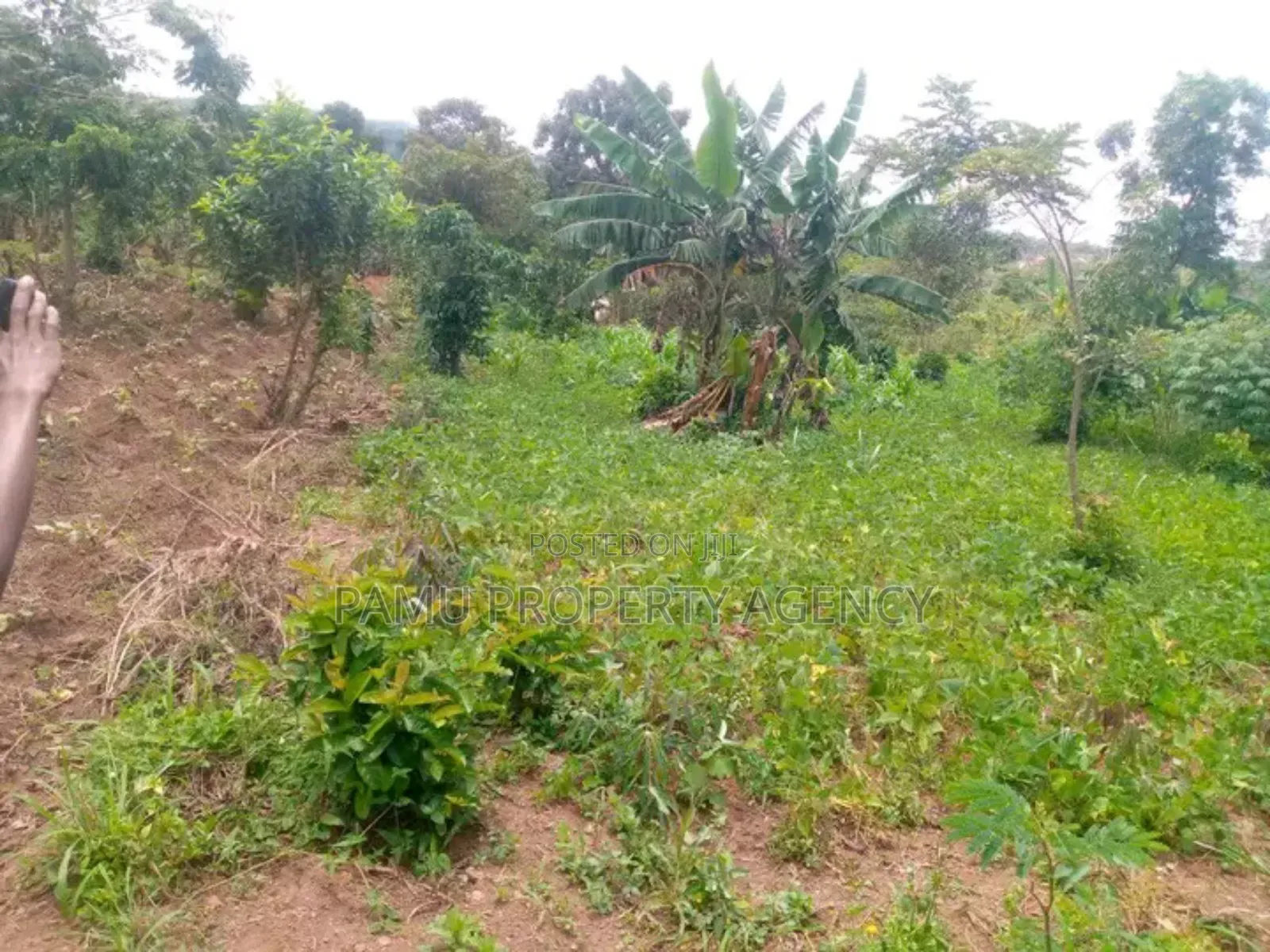 Gayaza Kiwenda Plot for Sale