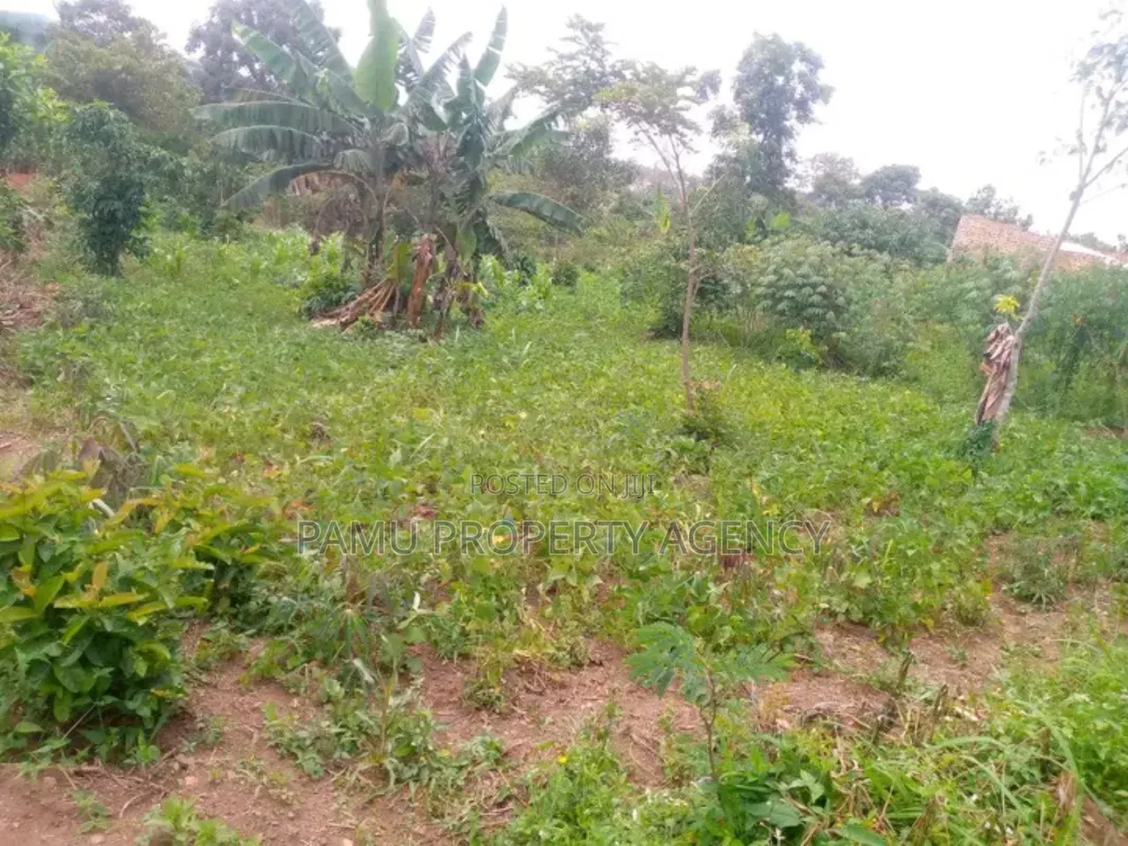 Gayaza Kiwenda Plot for Sale