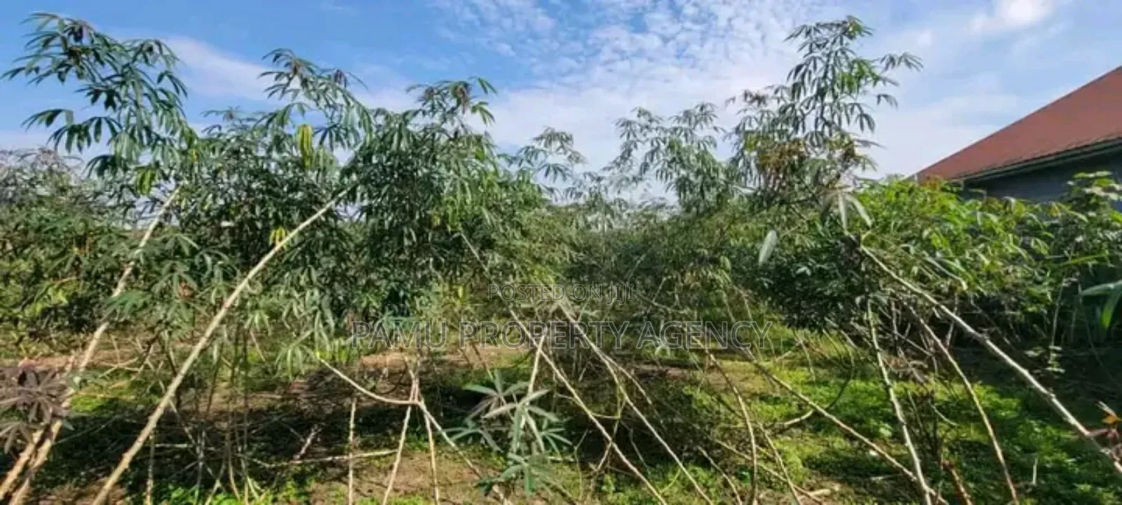 Kyanja Kungu Plot on Sale
