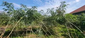 Kyanja Kungu Plot on Sale