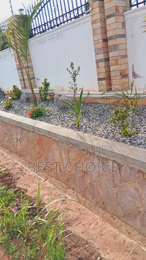 Land Scaping Services That Cultivate Elegance in Your Back Yard