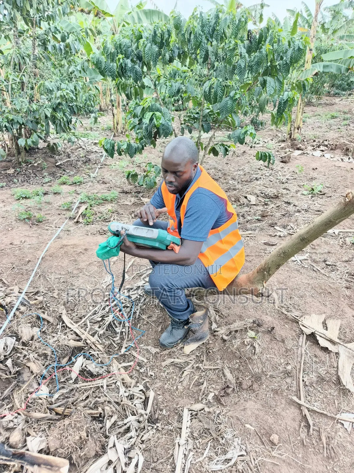 Borehole Drilling