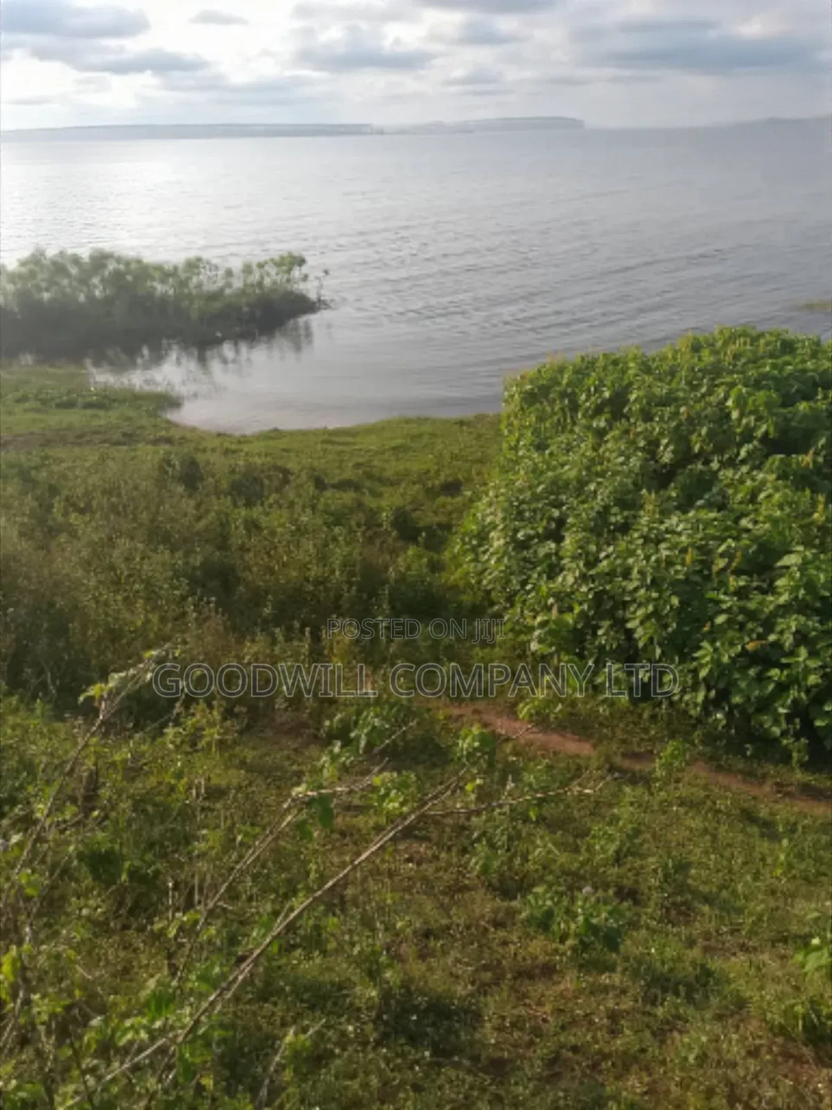 23 Acres of Land in Nkokonjeru Touching on Victoria, 25kms Off Tarmac