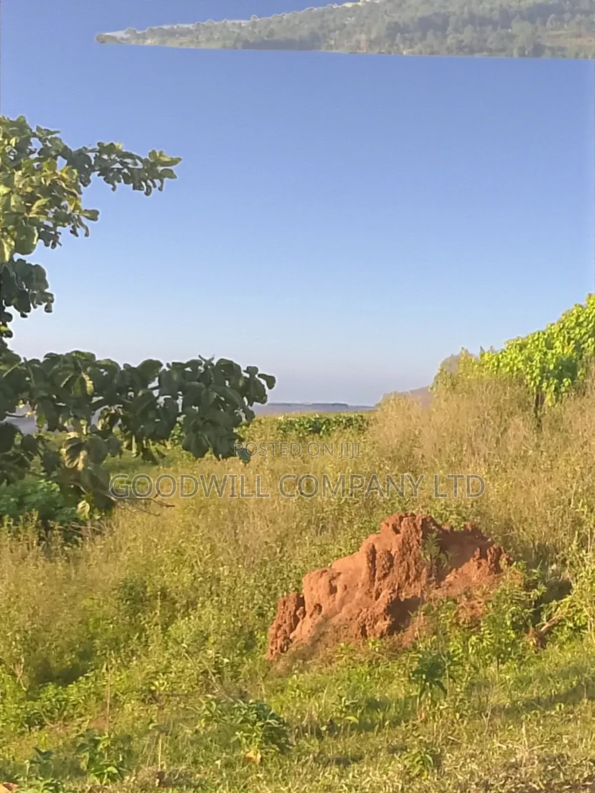 23 Acres of Land in Nkokonjeru Touching on Victoria, 25kms Off Tarmac