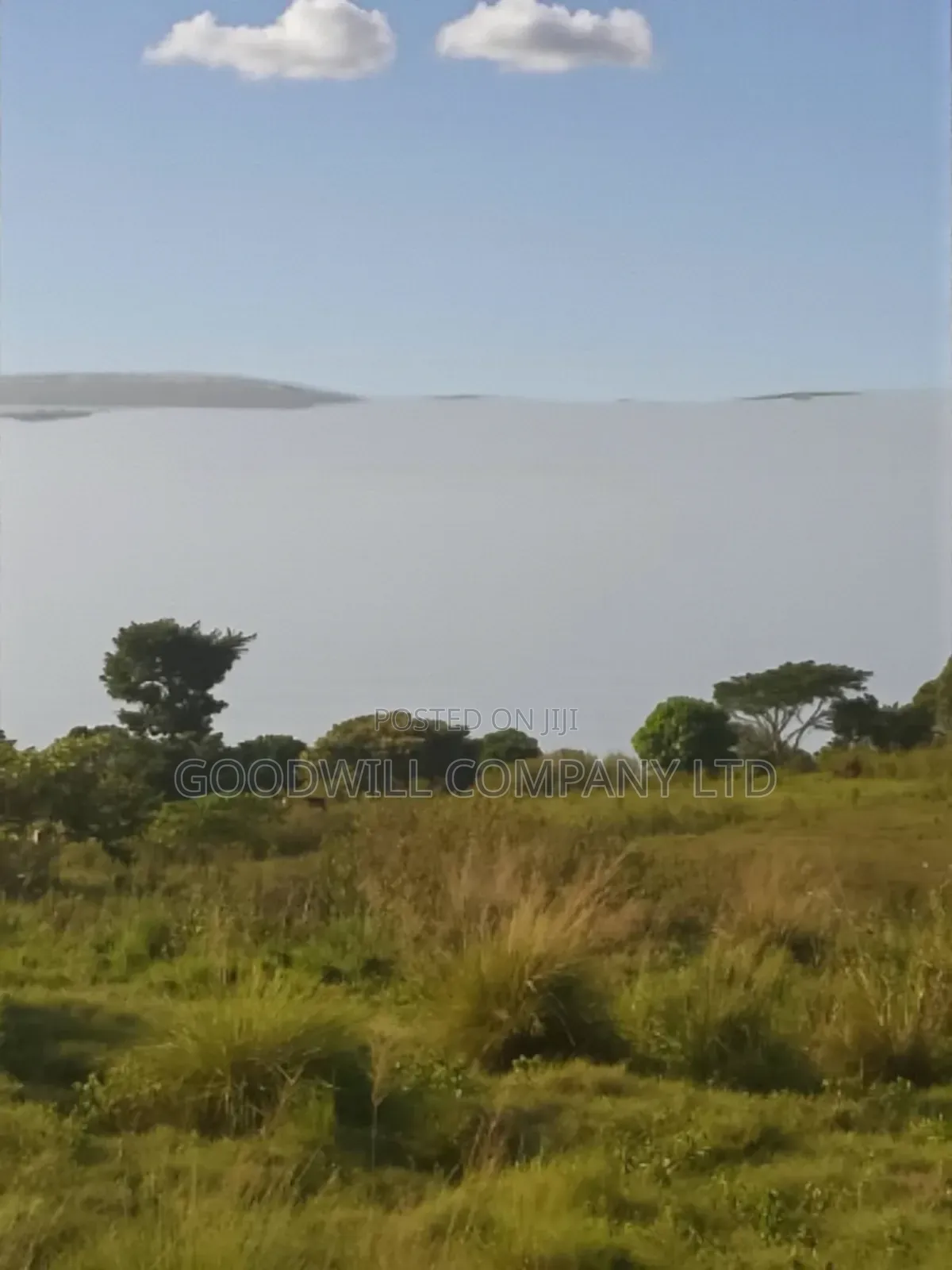 23 Acres of Land in Nkokonjeru Touching on Victoria, 25kms Off Tarmac
