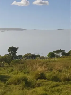 23 Acres of Land in Nkokonjeru Touching on Victoria, 25kms Off Tarmac