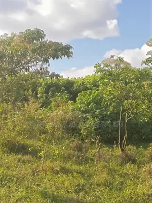 23 Acres of Land in Nkokonjeru Touching on Victoria, 25kms Off Tarmac
