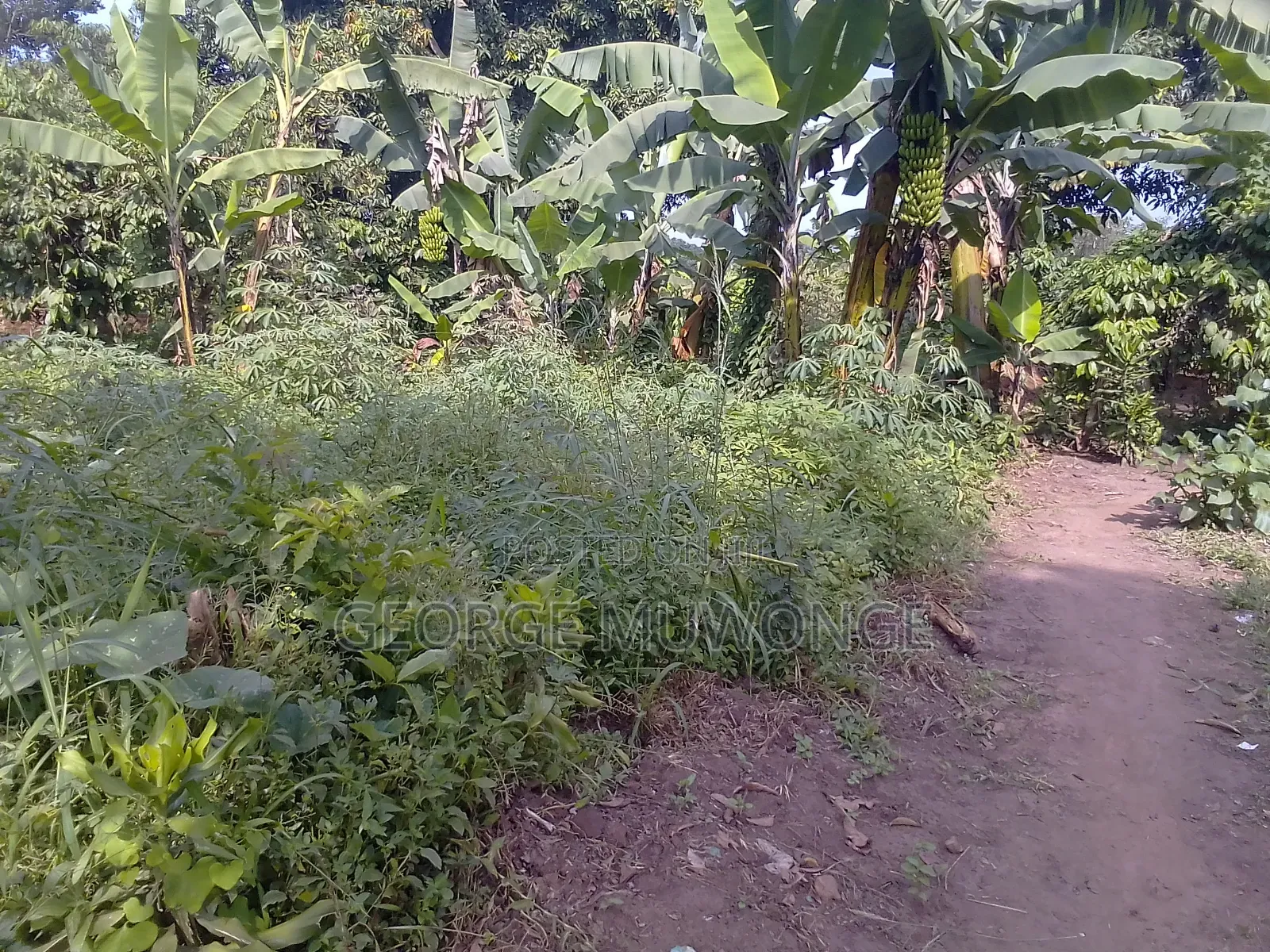 Commercial Plot for Sell