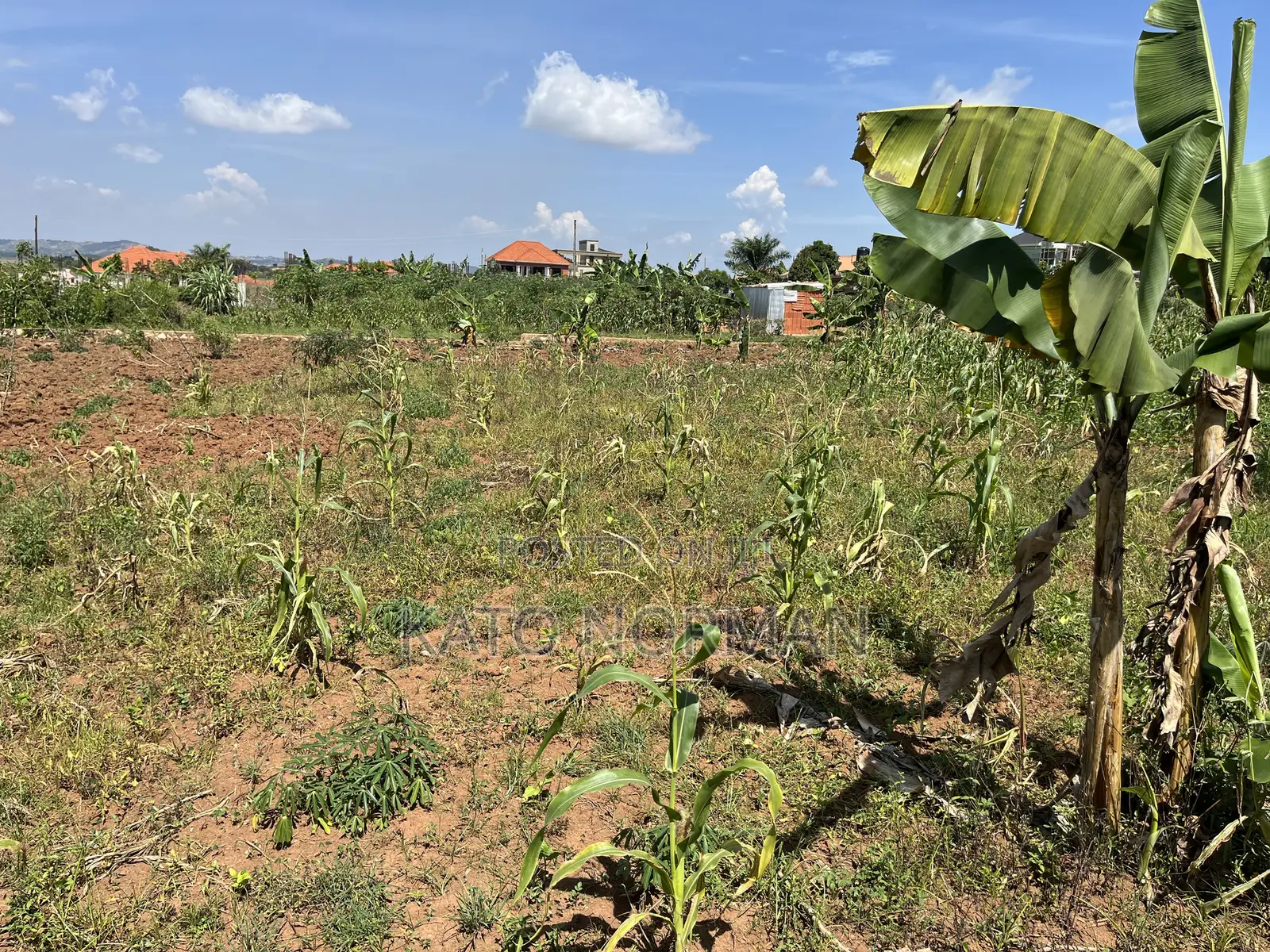 Plot for Sale