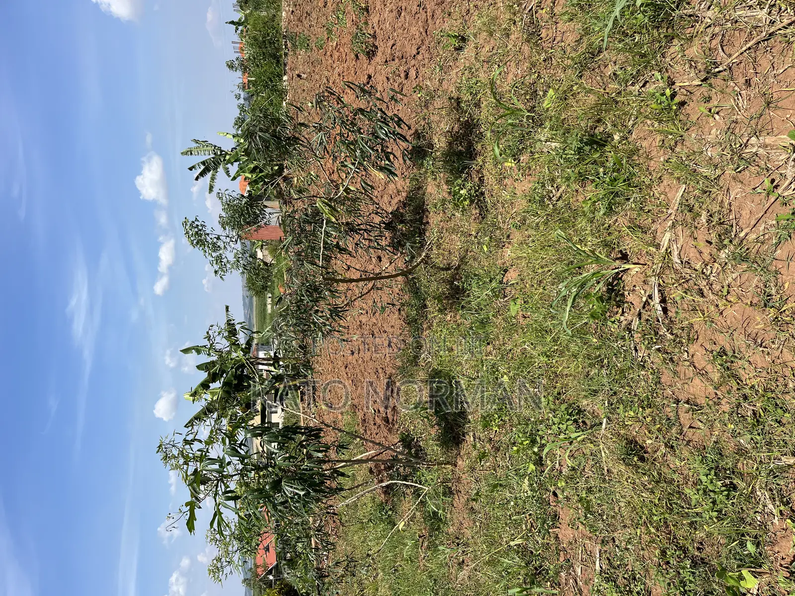 Plot for Sale