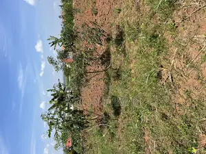 Plot for Sale