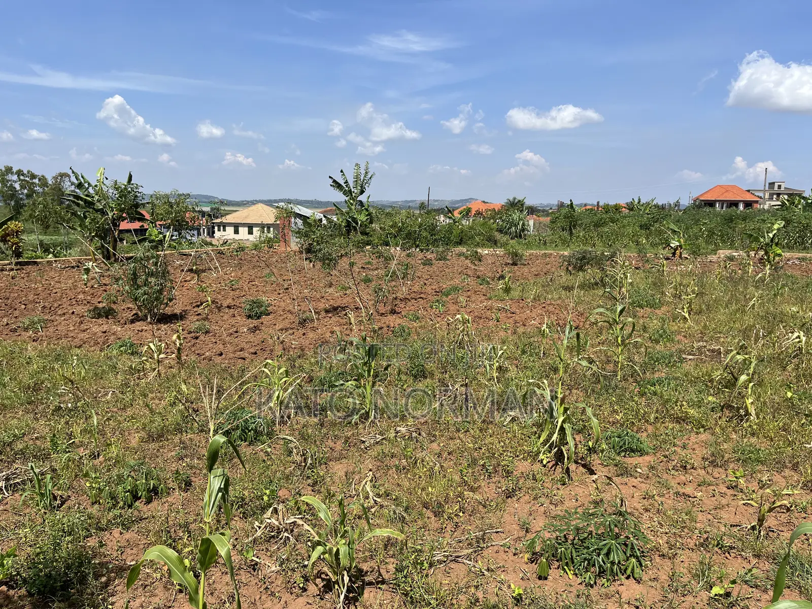 Plot for Sale