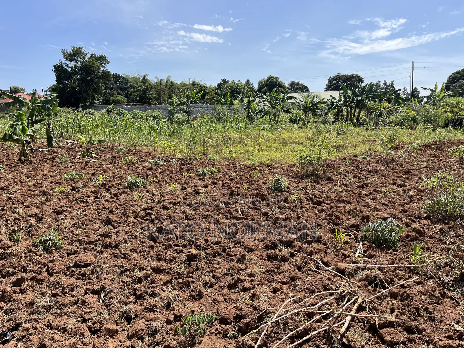 Plot for Sale