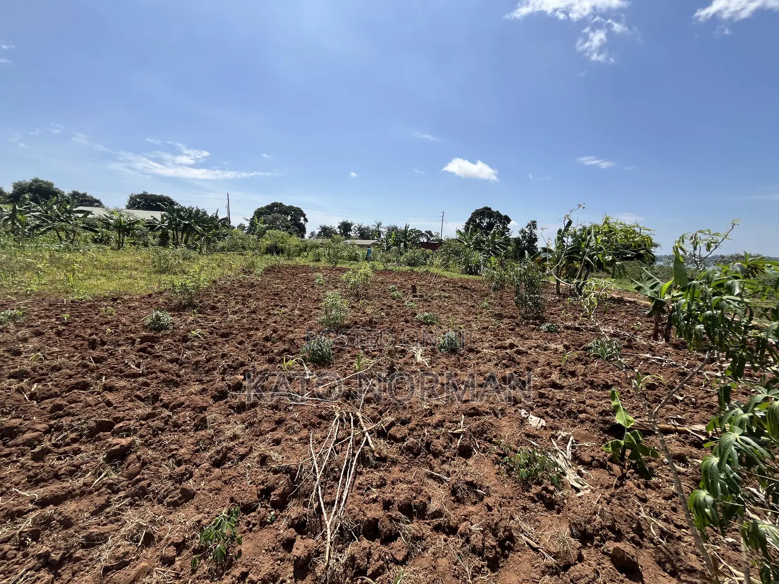 Plot for Sale