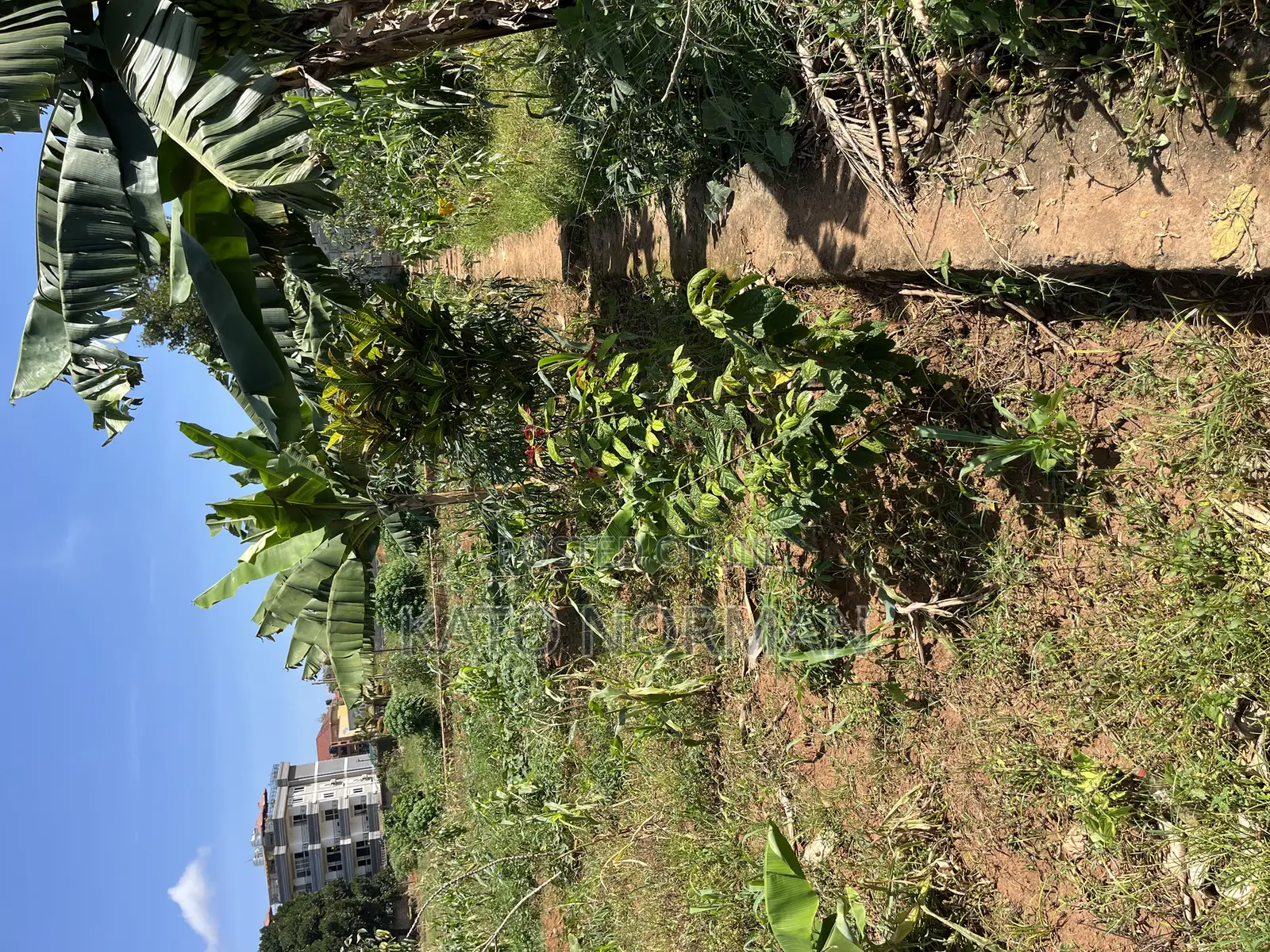 Plot for Sale