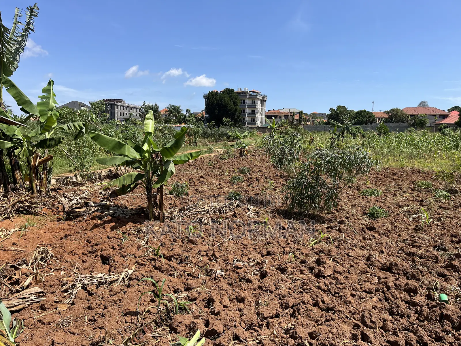 Plot for Sale