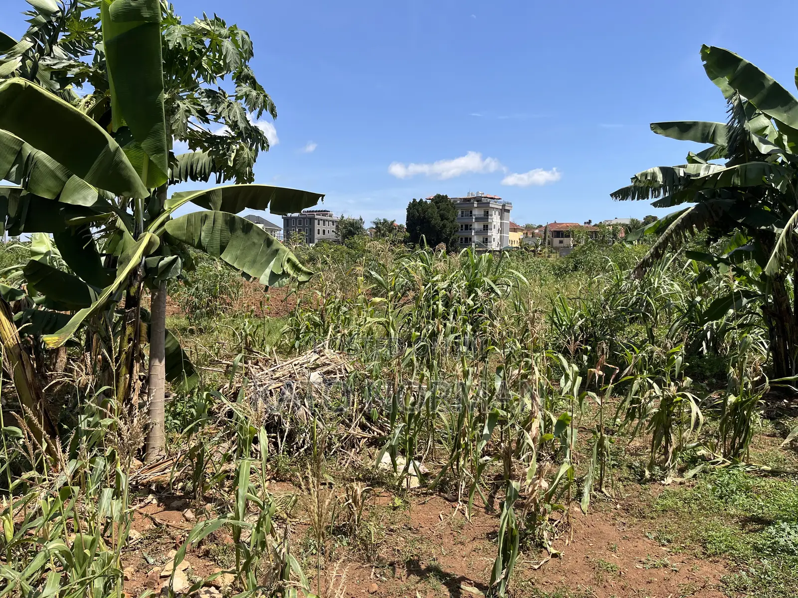 Plot for Sale