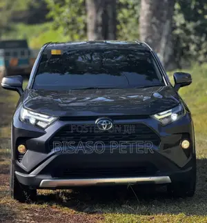 Toyota RAV4 2022 Gray