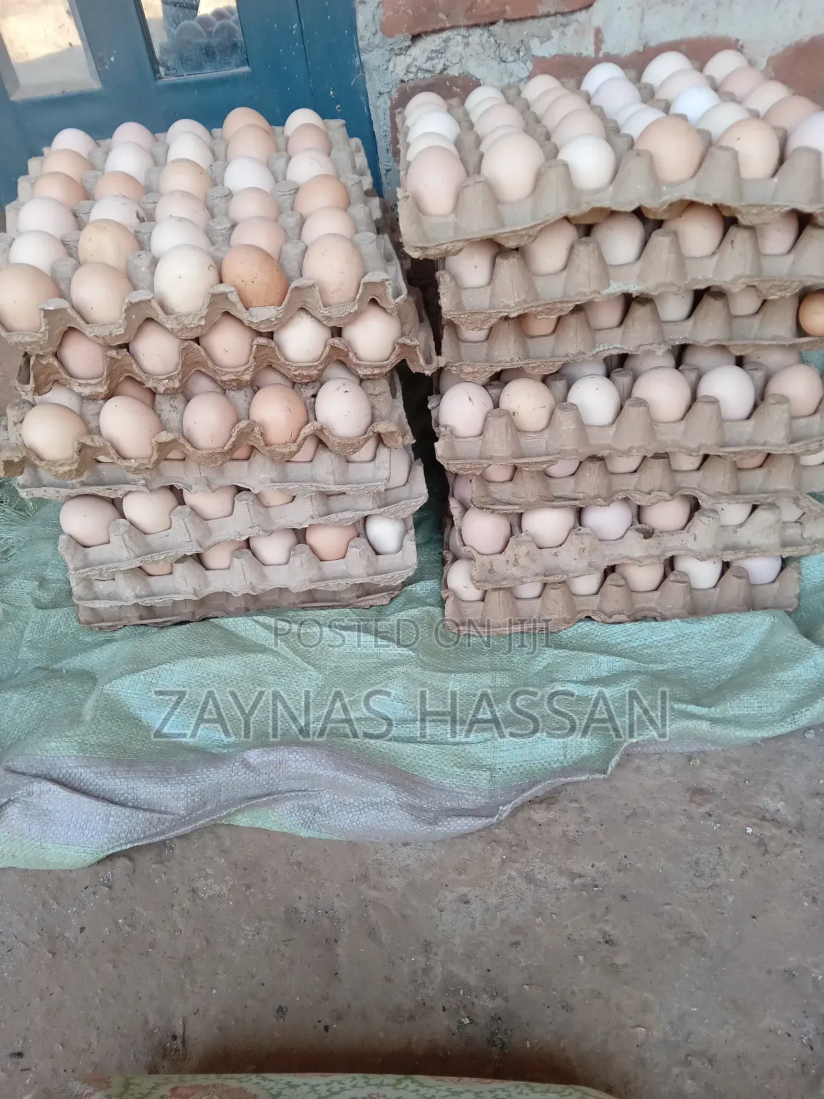 Hassan Local Poultry Breeders Farm