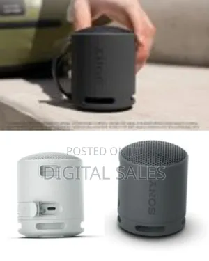 SRS-Xb100 Wireless Bluetooth Portable