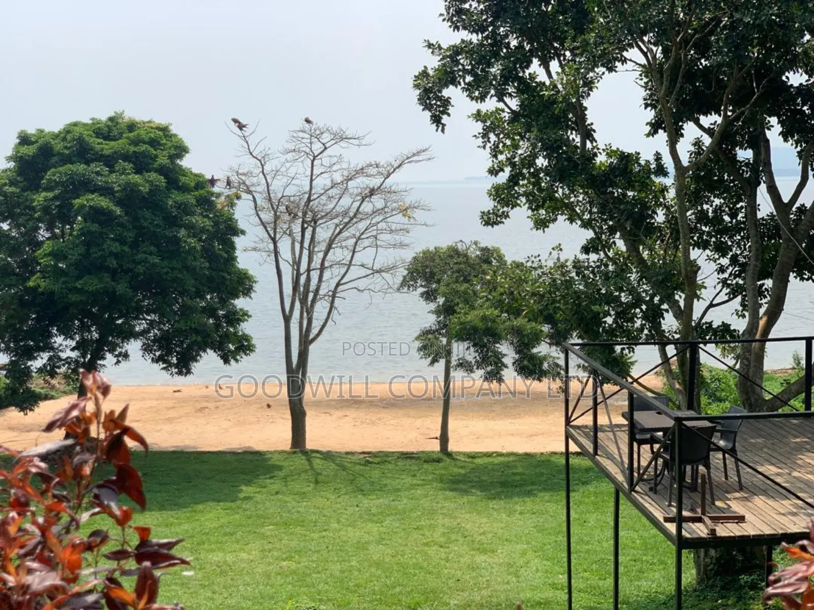 2.5 Acres of Established Beach on Bbusi Island, Near Entebbe Airport
