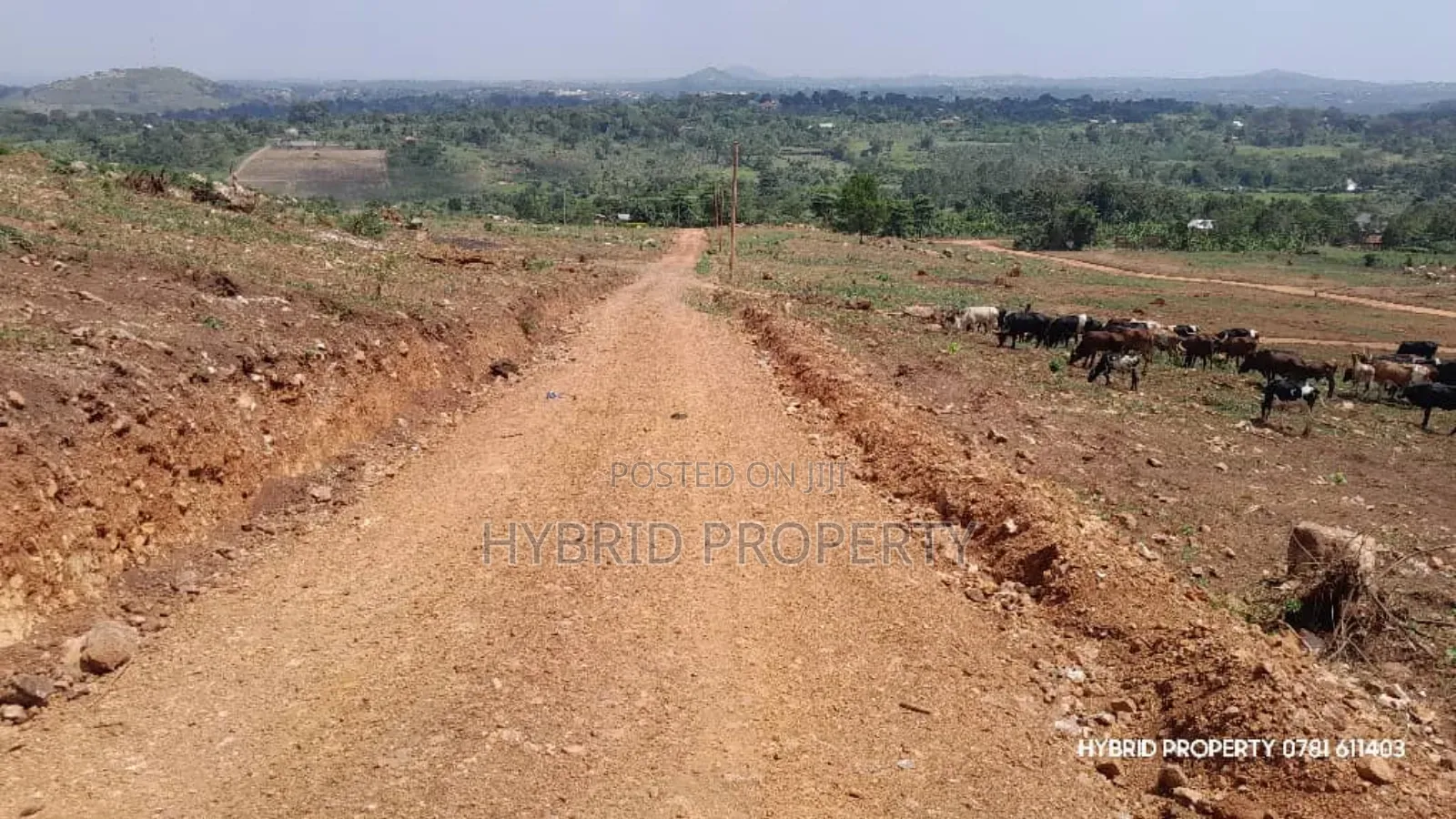 Prime Plots For Sale At Kakiri Muguluka Hill View Kulya Show Estate.