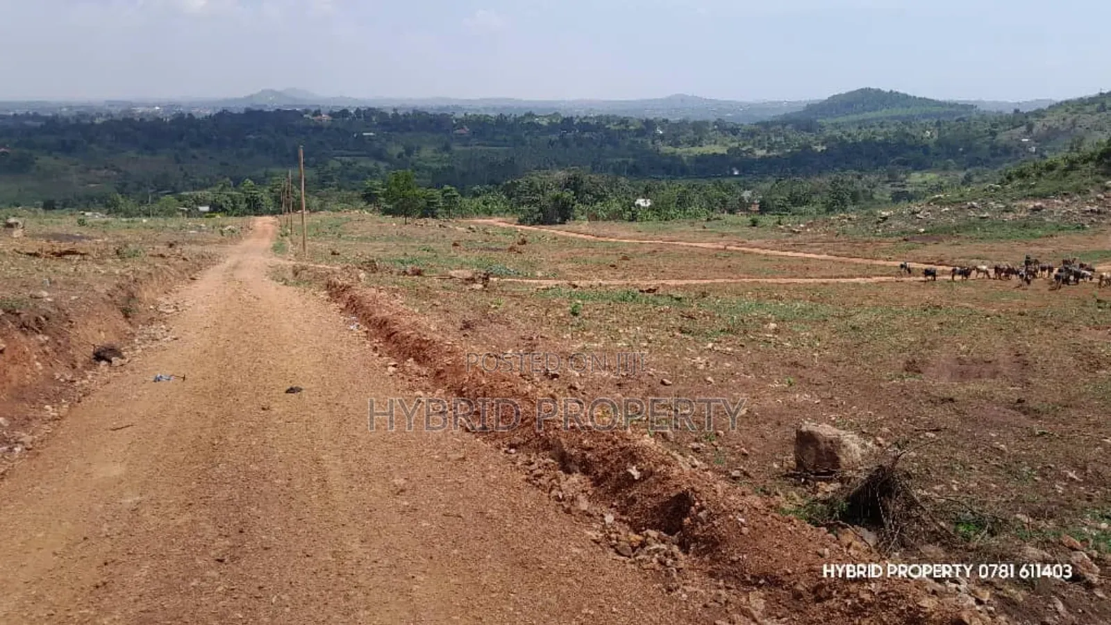 Prime Plots For Sale At Kakiri Muguluka Hill View Kulya Show Estate.