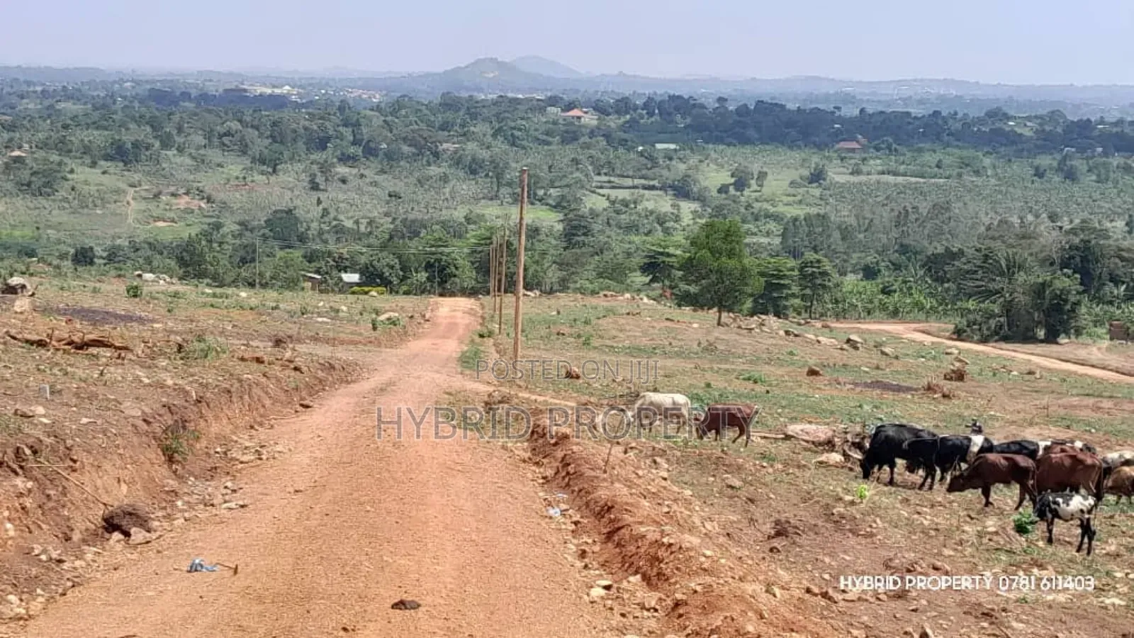 Prime Plots For Sale At Kakiri Muguluka Hill View Kulya Show Estate.