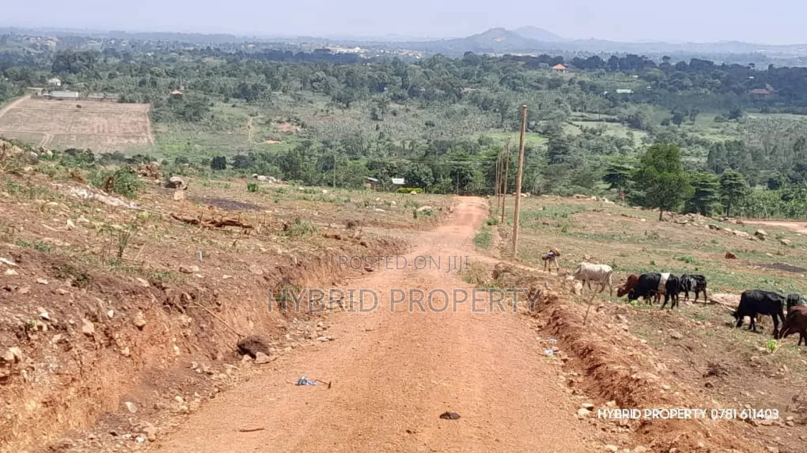 Prime Plots For Sale At Kakiri Muguluka Hill View Kulya Show Estate.