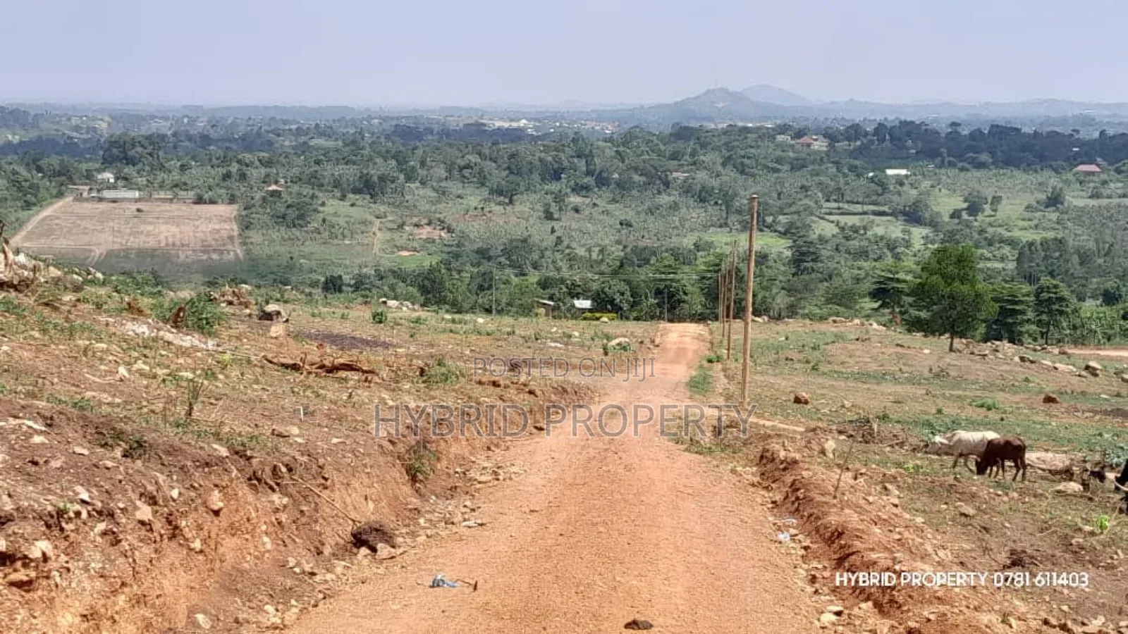 Prime Plots For Sale At Kakiri Muguluka Hill View Kulya Show Estate.