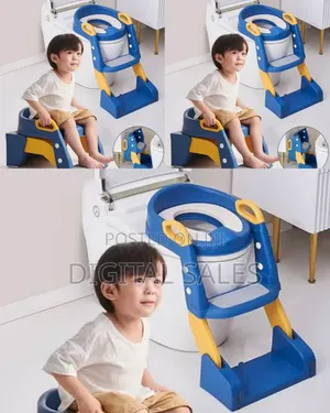 Potty Training Toilet Training Seats